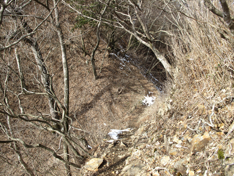 20160218hike (441)